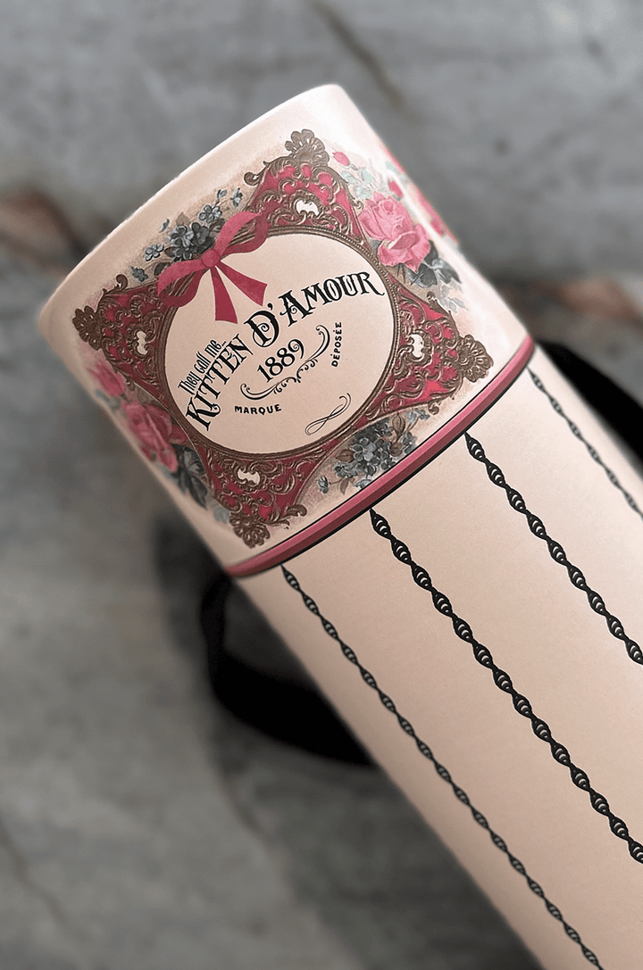 Marie Antoinette Corset Box - Kitten D'Amour