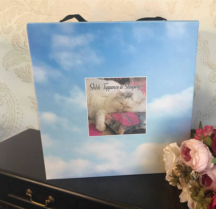 D'Amour Hat Box - Kitten D'Amour