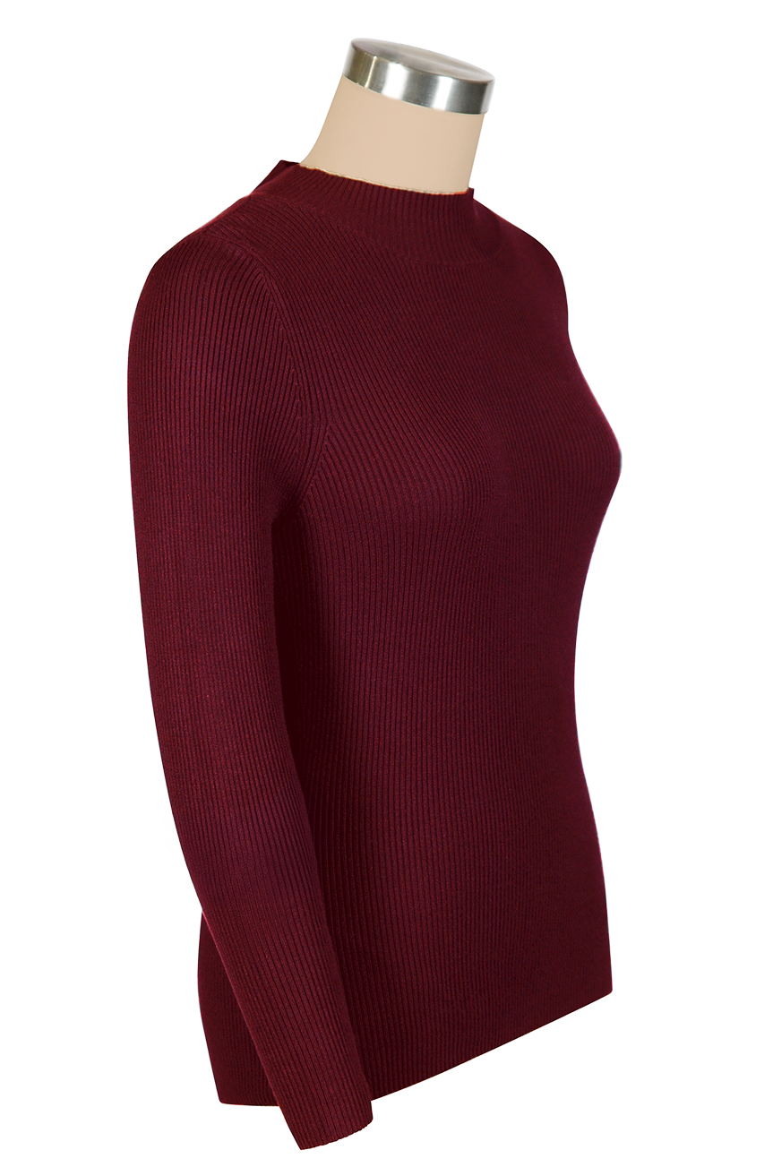 TurtleNeck Knit Top (Burgundy)